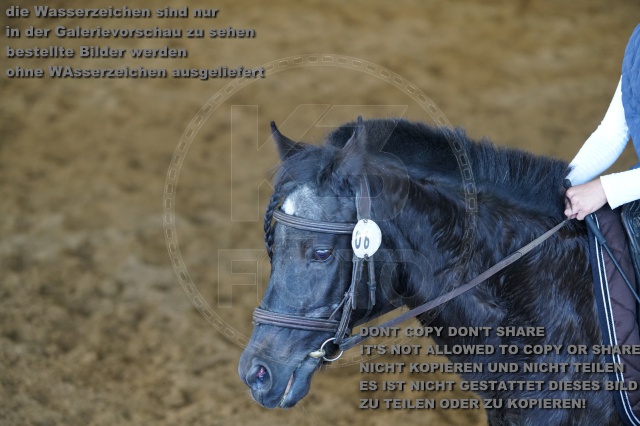 s_K3F04320.JPG